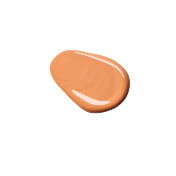 Colorescience Face Shield SPF 50 Matte